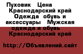 Пуховик › Цена ­ 1 000 - Краснодарский край Одежда, обувь и аксессуары » Мужская одежда и обувь   . Краснодарский край